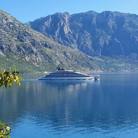 Apartmán Magnolia Adriatic Kotor Exteriér fotografie