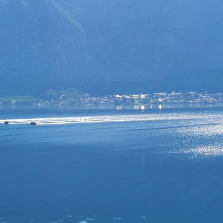 Apartmán Magnolia Adriatic Kotor Exteriér fotografie