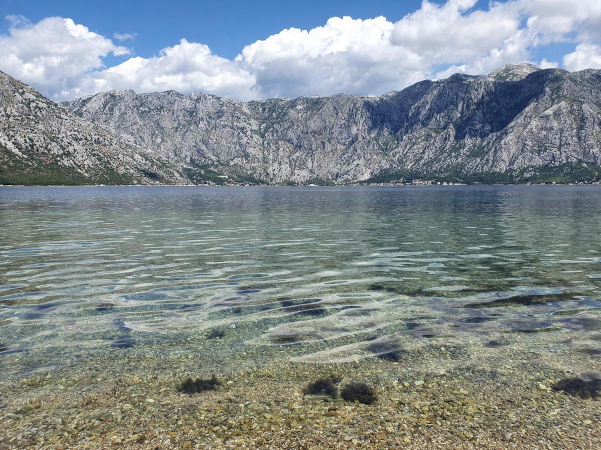Apartmán Magnolia Adriatic Kotor Exteriér fotografie