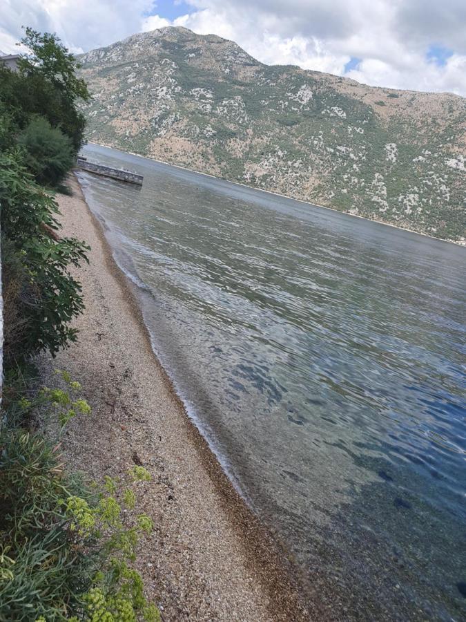 Apartmán Magnolia Adriatic Kotor Exteriér fotografie