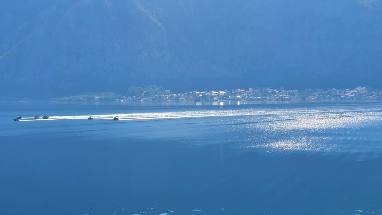 Apartmán Magnolia Adriatic Kotor Exteriér fotografie