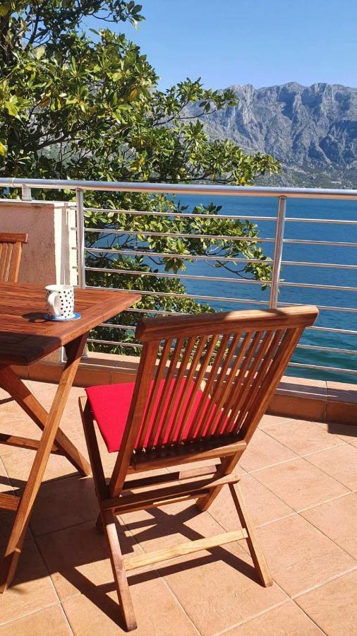 Apartmán Magnolia Adriatic Kotor Exteriér fotografie